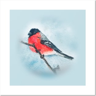 Bullfinch Red Belly Bird Art Posters and Art